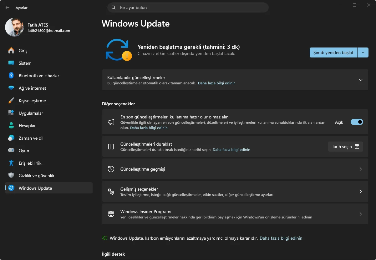 Windows Update ekranını gösteren ekran görüntüsü