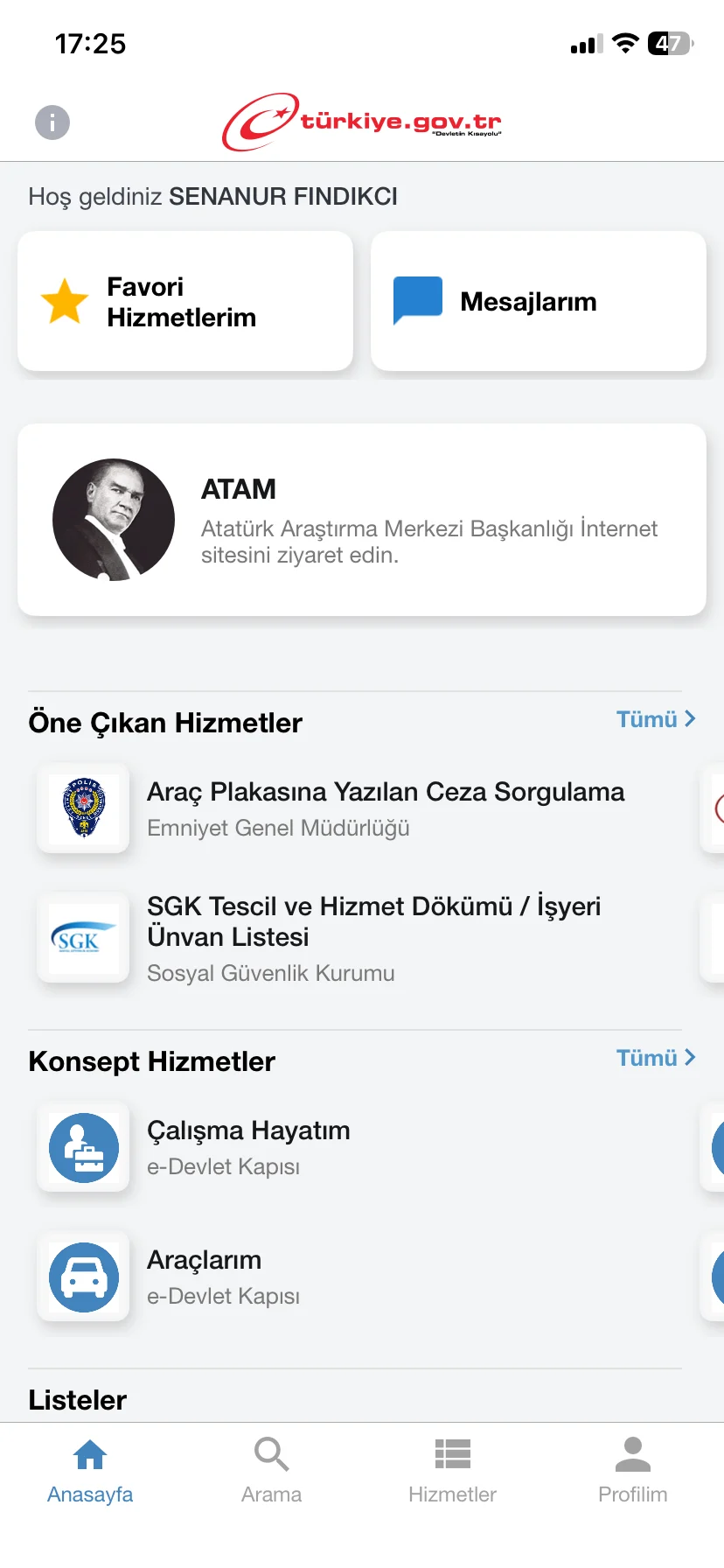 e-Devlet erişim kısıtlaması e-Devlet erişim kısıtlaması