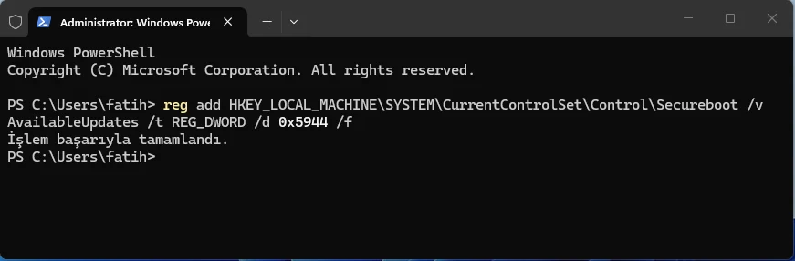 Terminal ekranında reg add komutunun çalıştırılması