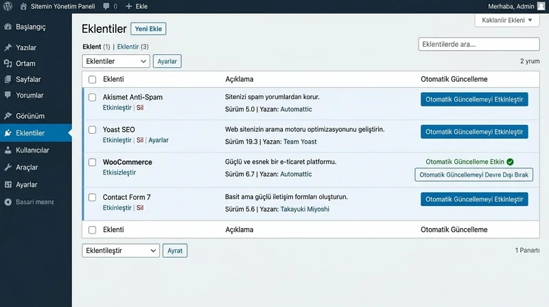 WordPress Eklenti ve Tema Güncellemeleri tek tek etkinleştirilerek hangi bileşenlerin otomatik güncelleneceği belirlenebilir.