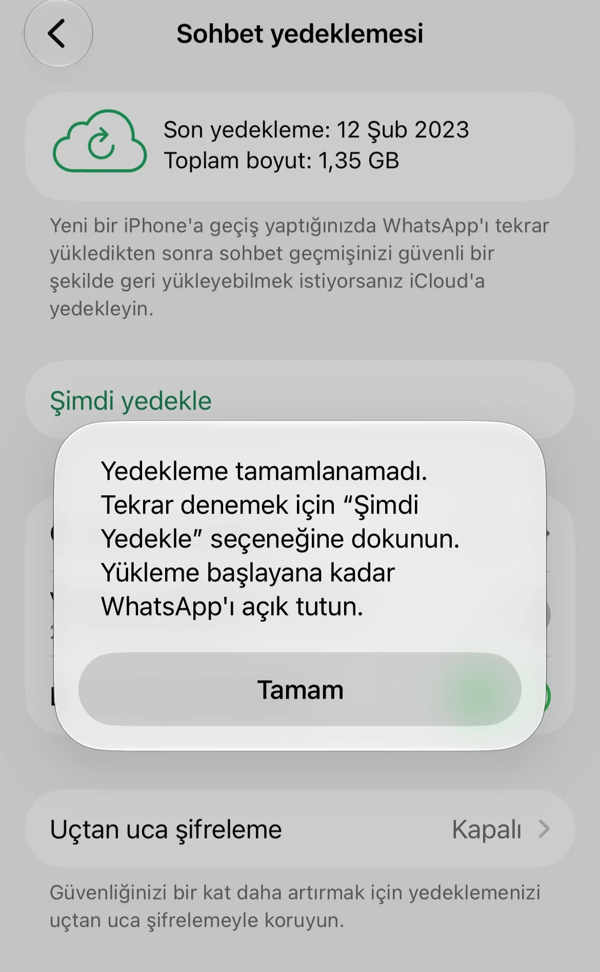 WhatsApp Yedekleme Takılı Kalma Sorunu: Yedekleme Neden Tamamlanmıyor